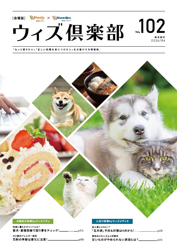 表紙