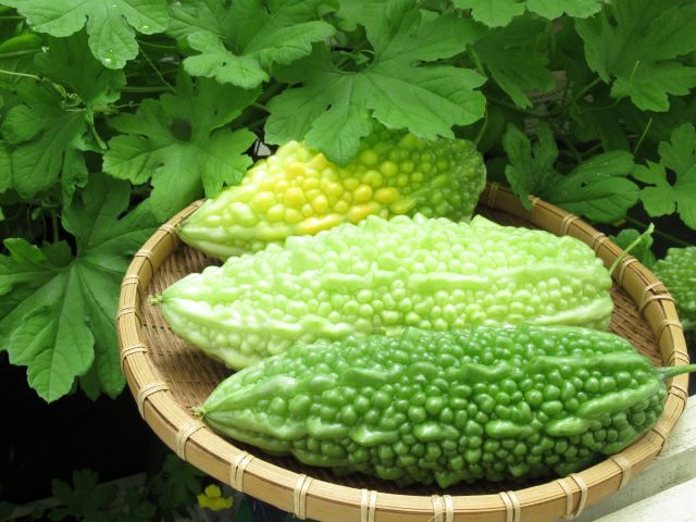 からだを冷やす食べ物5選!管理栄養士おすすめの食べ方とは?