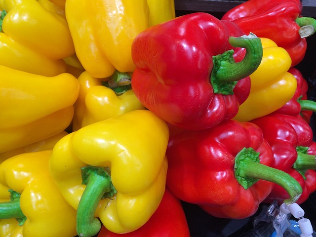 旬の野菜が良いといわれる理由とは?季節ごとの特徴や種類